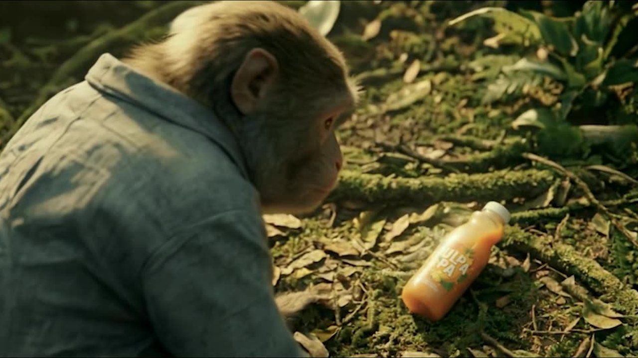 Brand Commercials